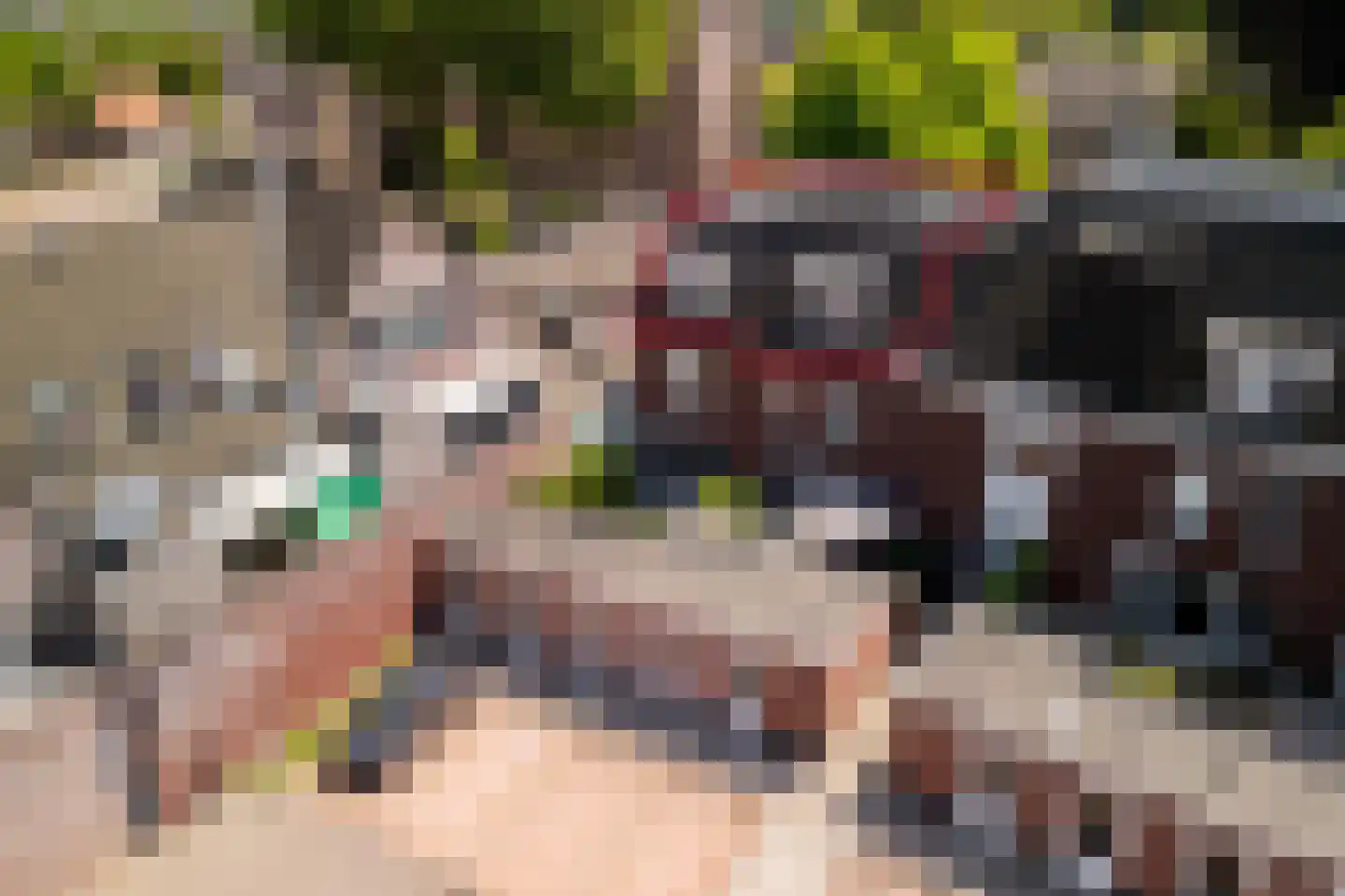 Kerkstraat 40 c Eersel thumbnail 34