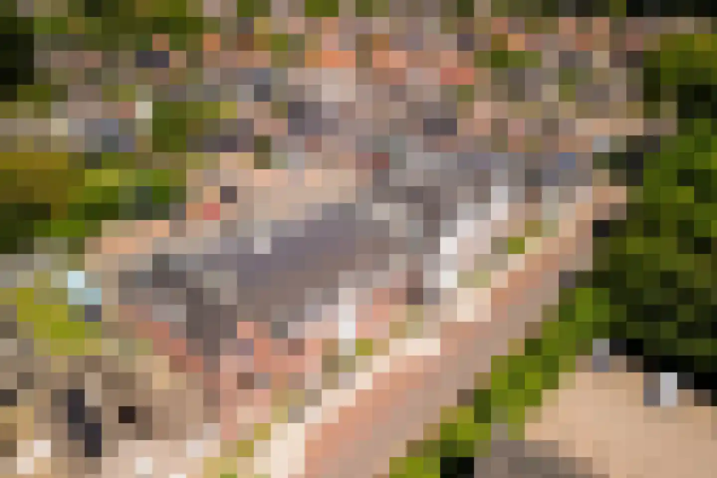 Kerkstraat 40 c Eersel thumbnail 45