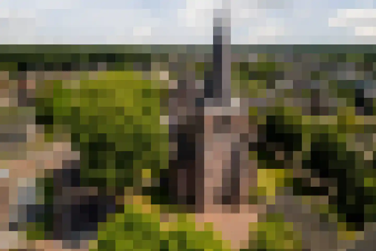 Kerkstraat 40 c Eersel thumbnail 53