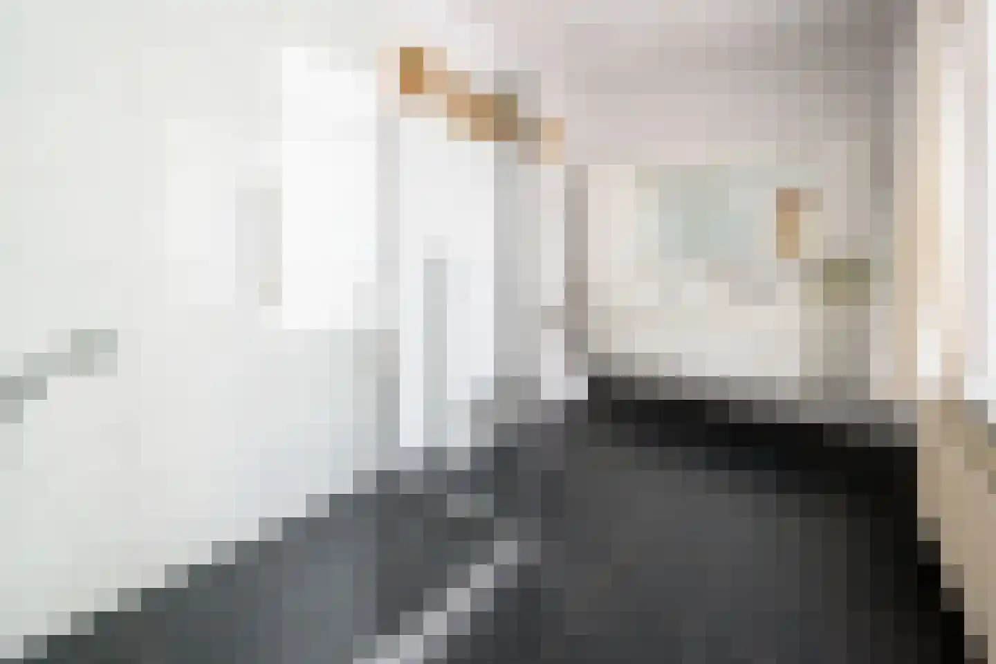 Kerkstraat 40 Dieren thumbnail 10