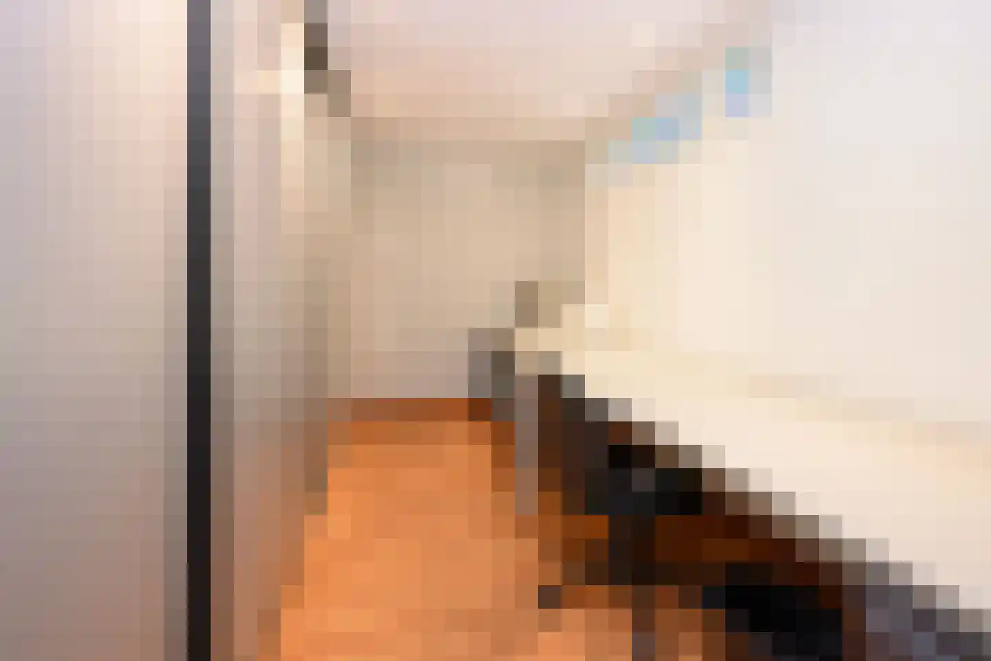 Kerkstraat 40 Dieren thumbnail 11