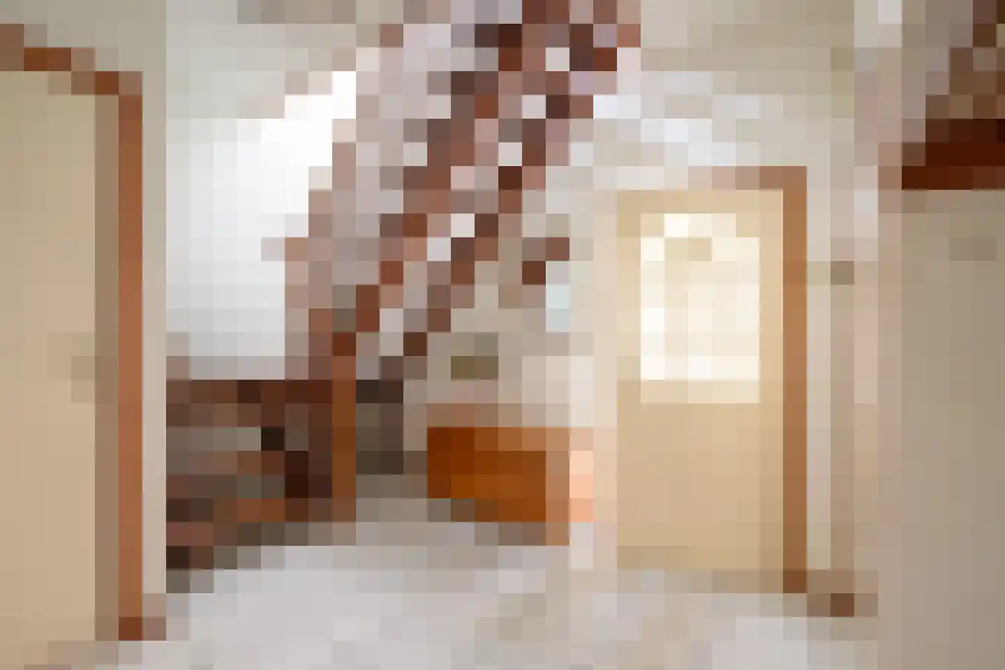 Kerkstraat 40 Dieren thumbnail 12