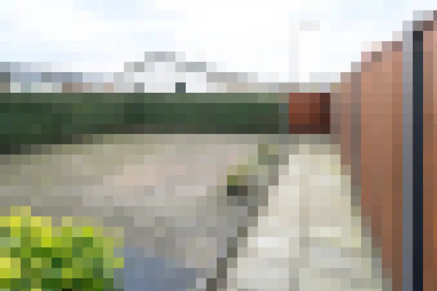 Kerkstraat 40 Dieren thumbnail 24