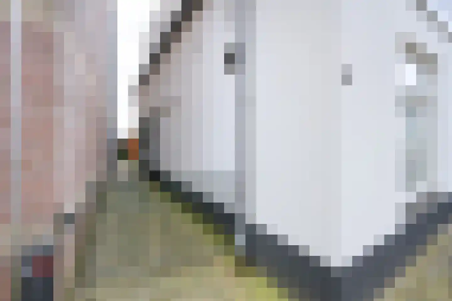 Kerkstraat 40 Dieren thumbnail 6
