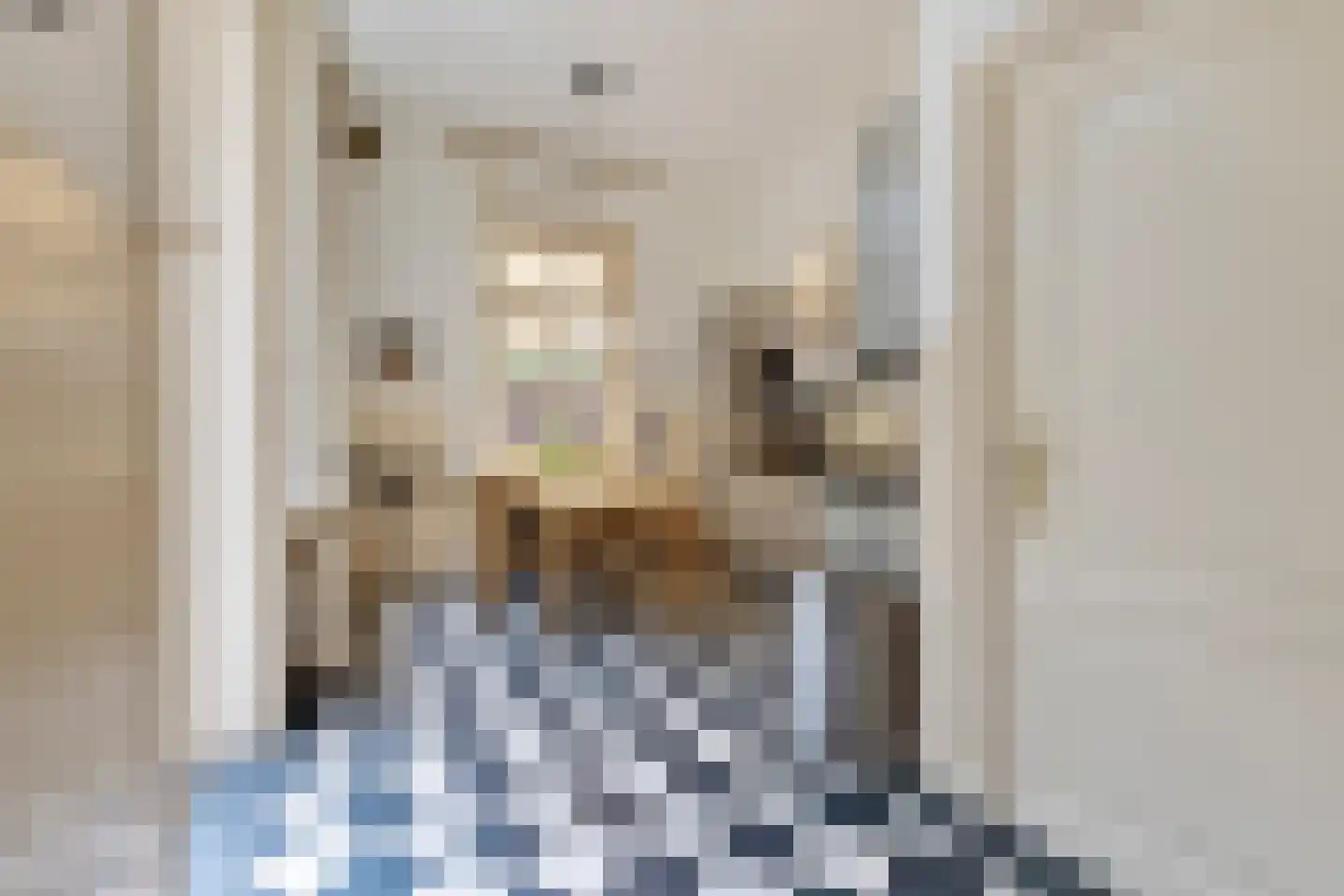 Kerkstraat 40 Gemert thumbnail 14