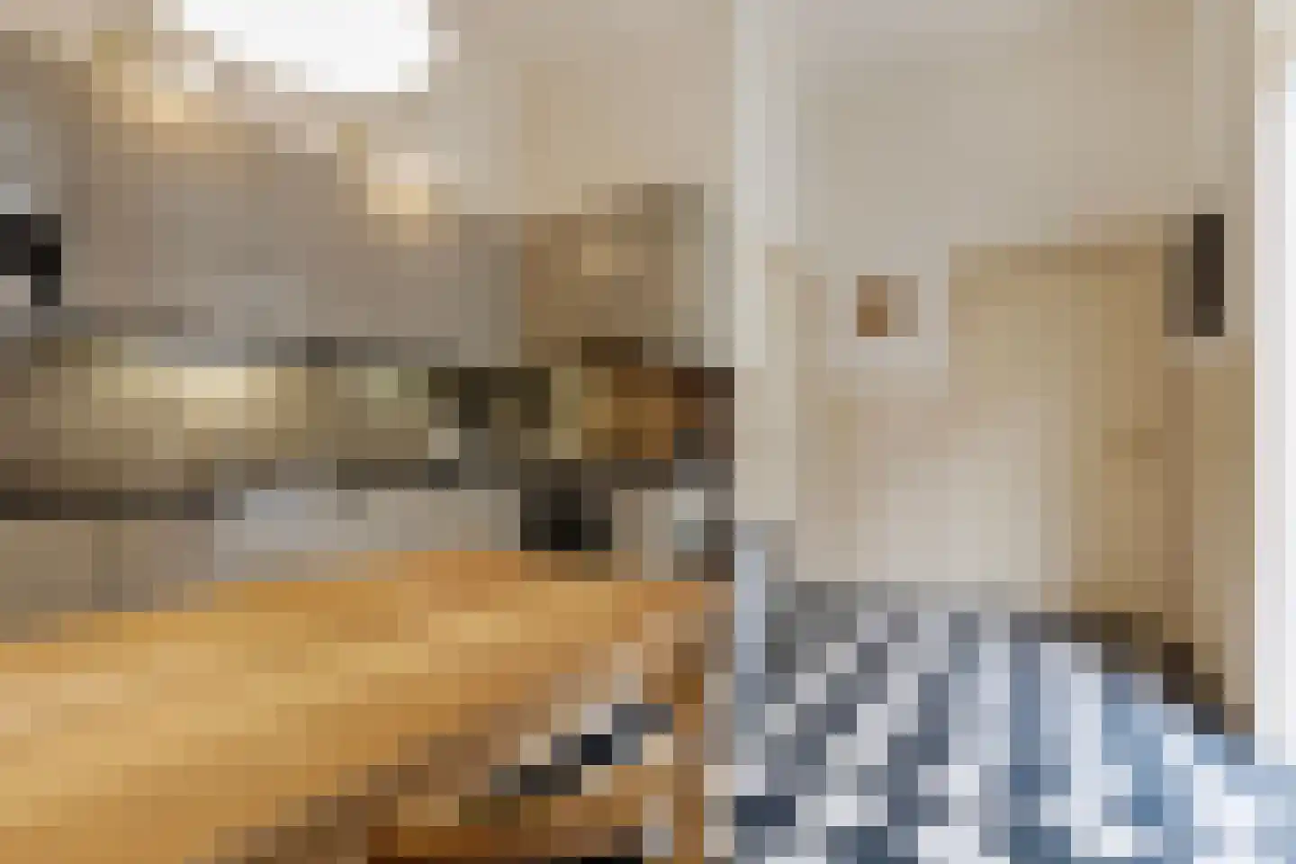 Kerkstraat 40 Gemert thumbnail 15