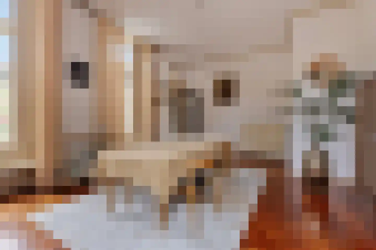 Kerkstraat 40 Gemert thumbnail 21