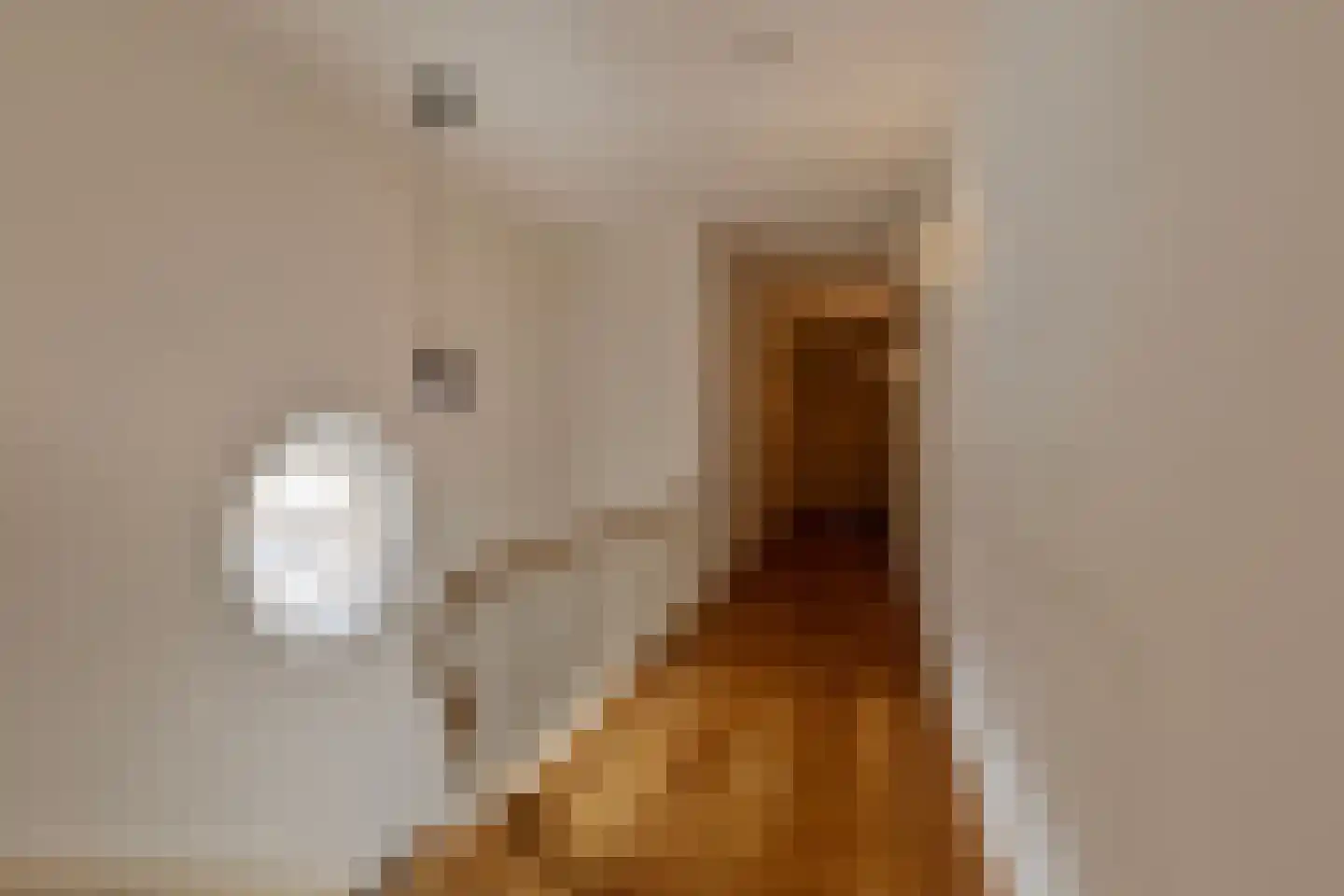 Kerkstraat 40 Gemert thumbnail 22