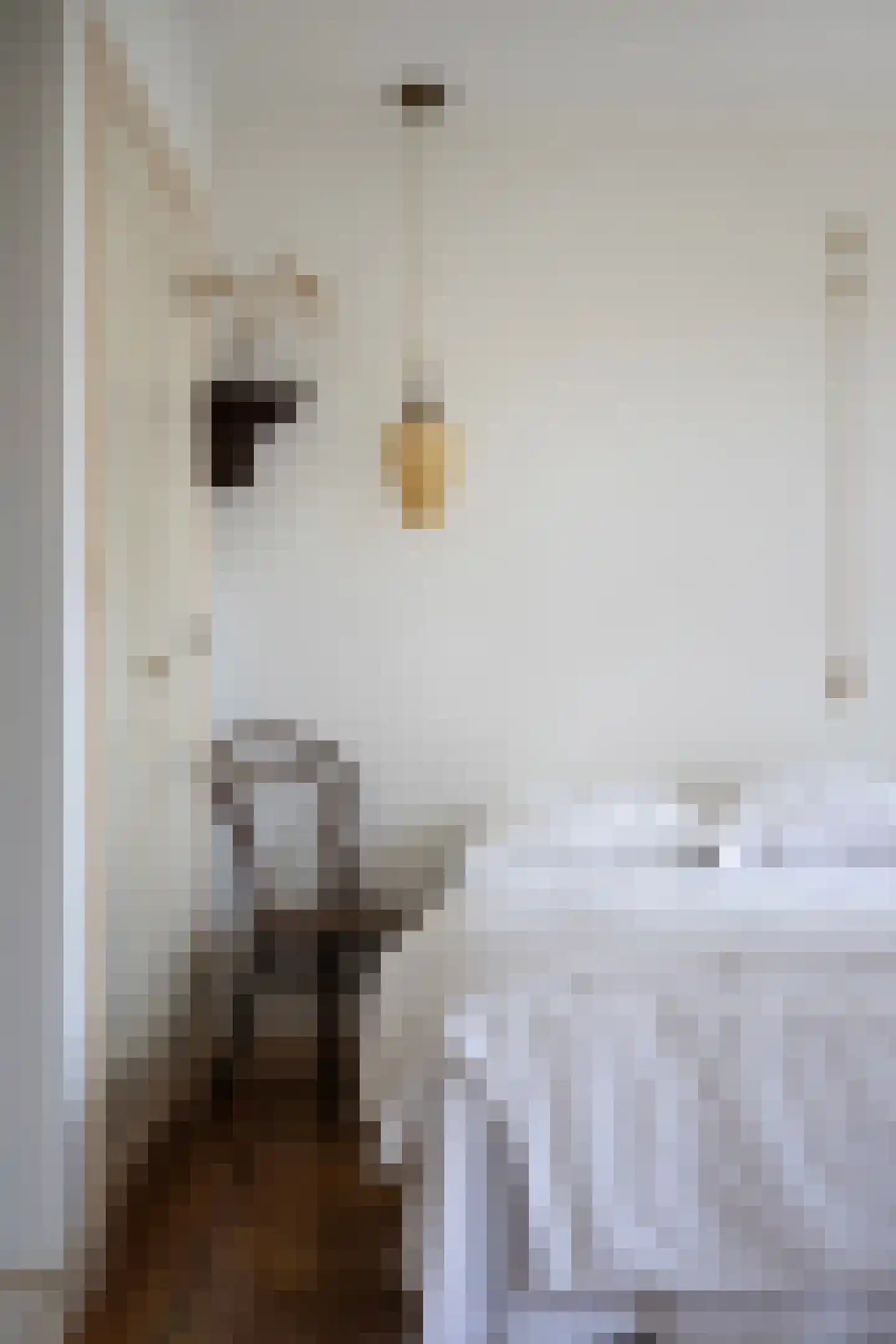 Kerkstraat 40 Gemert thumbnail 28