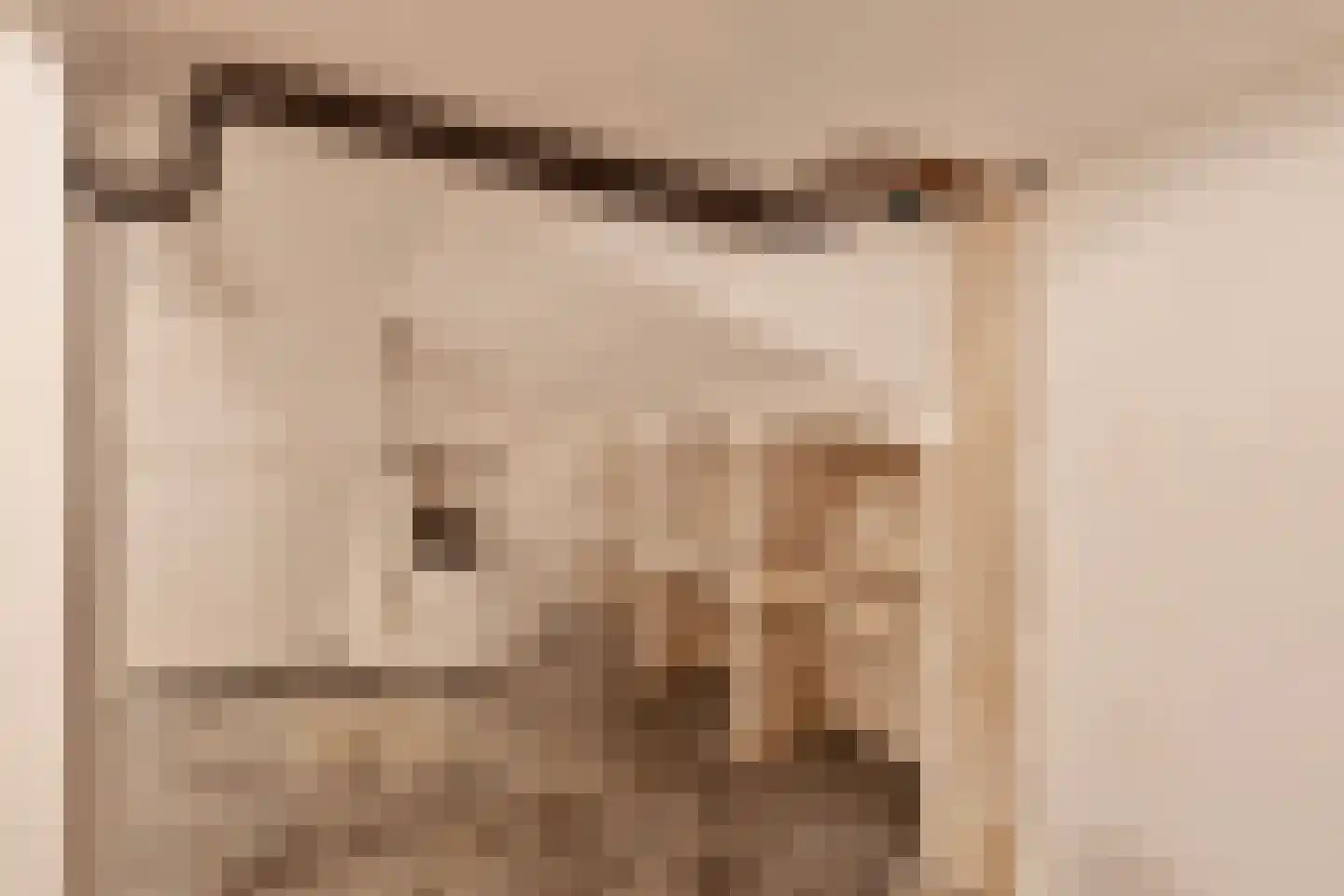 Kerkstraat 40 Gemert thumbnail 38