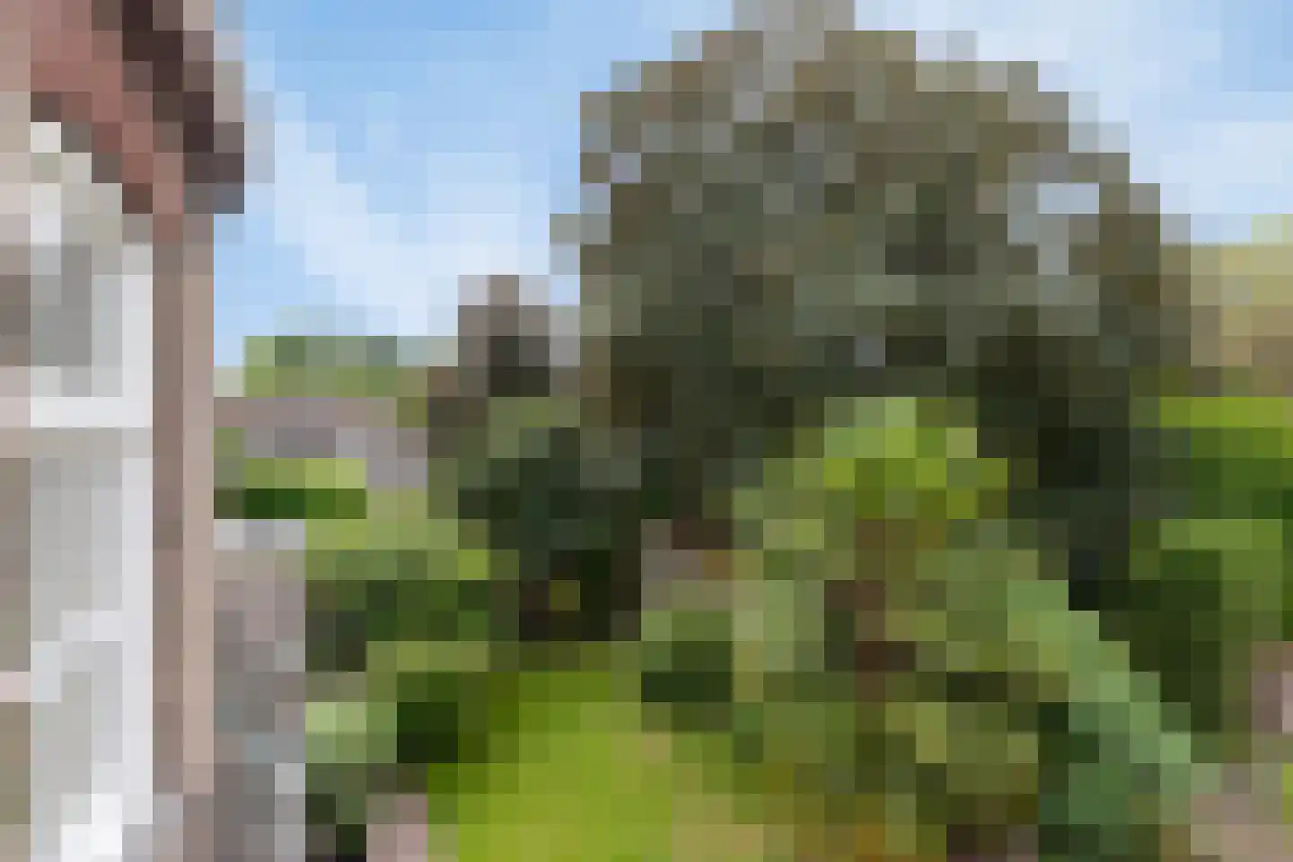 Kerkstraat 40 Gemert thumbnail 44