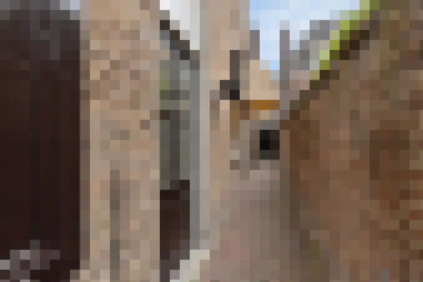Kerkstraat 40 Gemert thumbnail 46