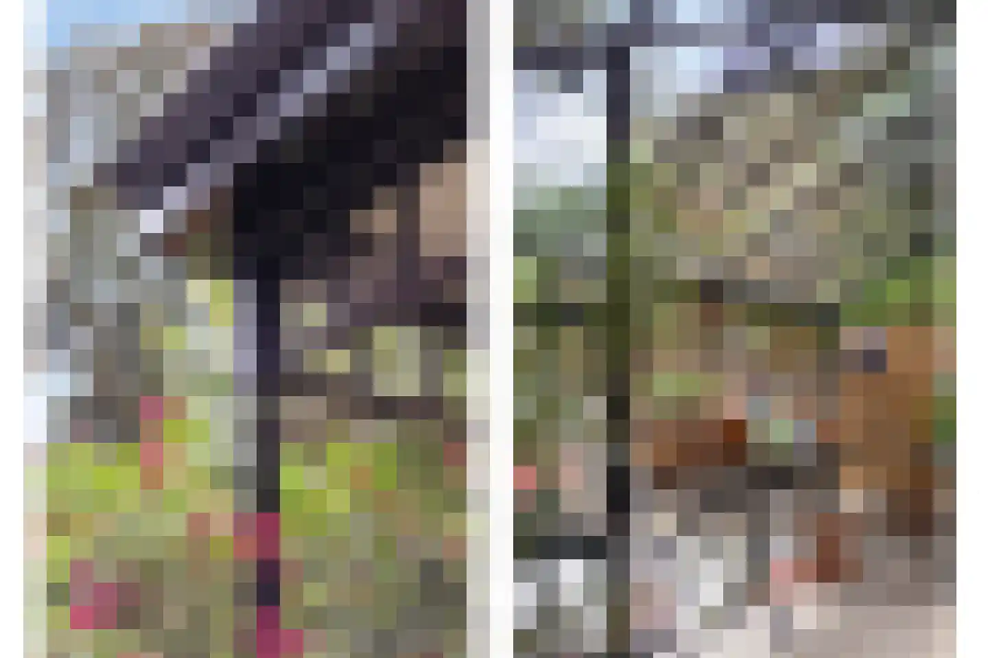 Kerkstraat 40 Gemert thumbnail 47