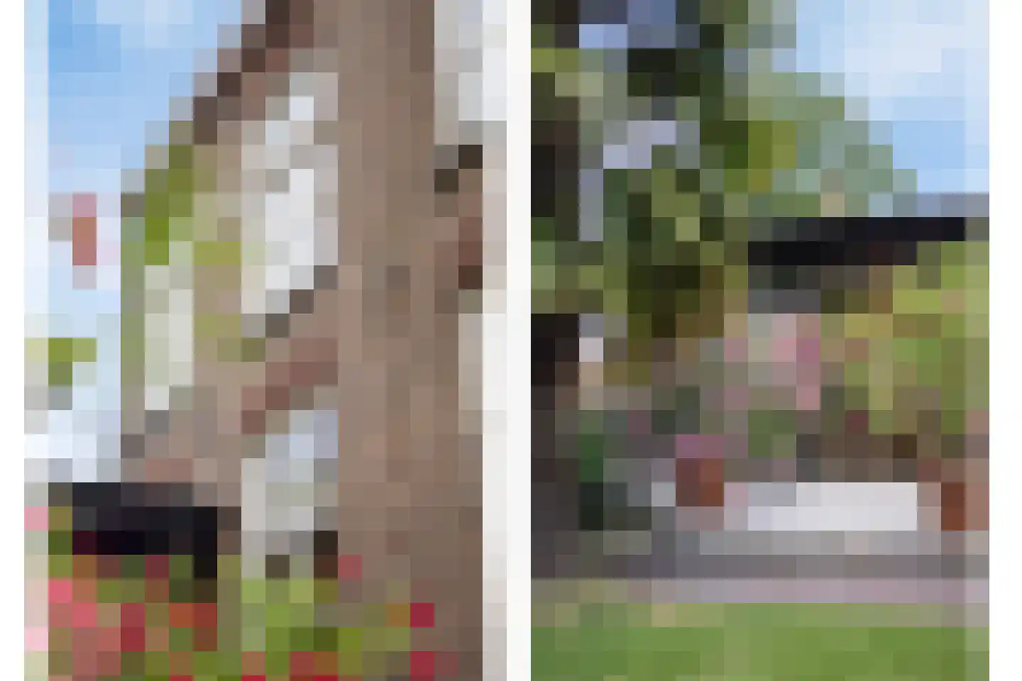 Kerkstraat 40 Gemert thumbnail 49