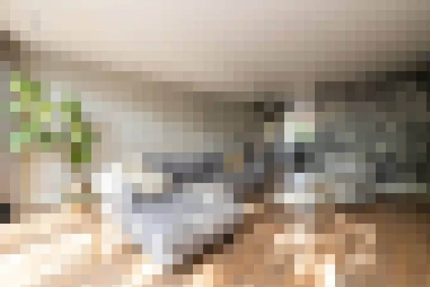 Kerkstraat 40 Kwintsheul thumbnail 10