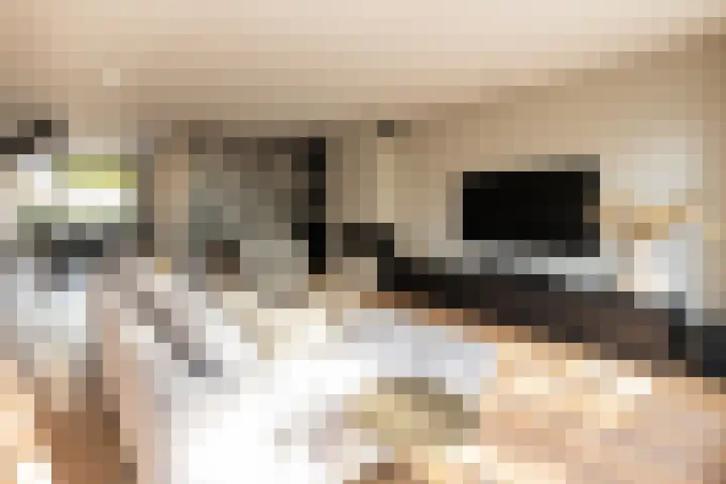 Kerkstraat 40 Kwintsheul thumbnail 11
