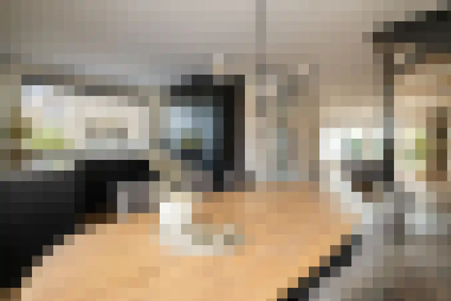 Kerkstraat 40 Kwintsheul thumbnail 16