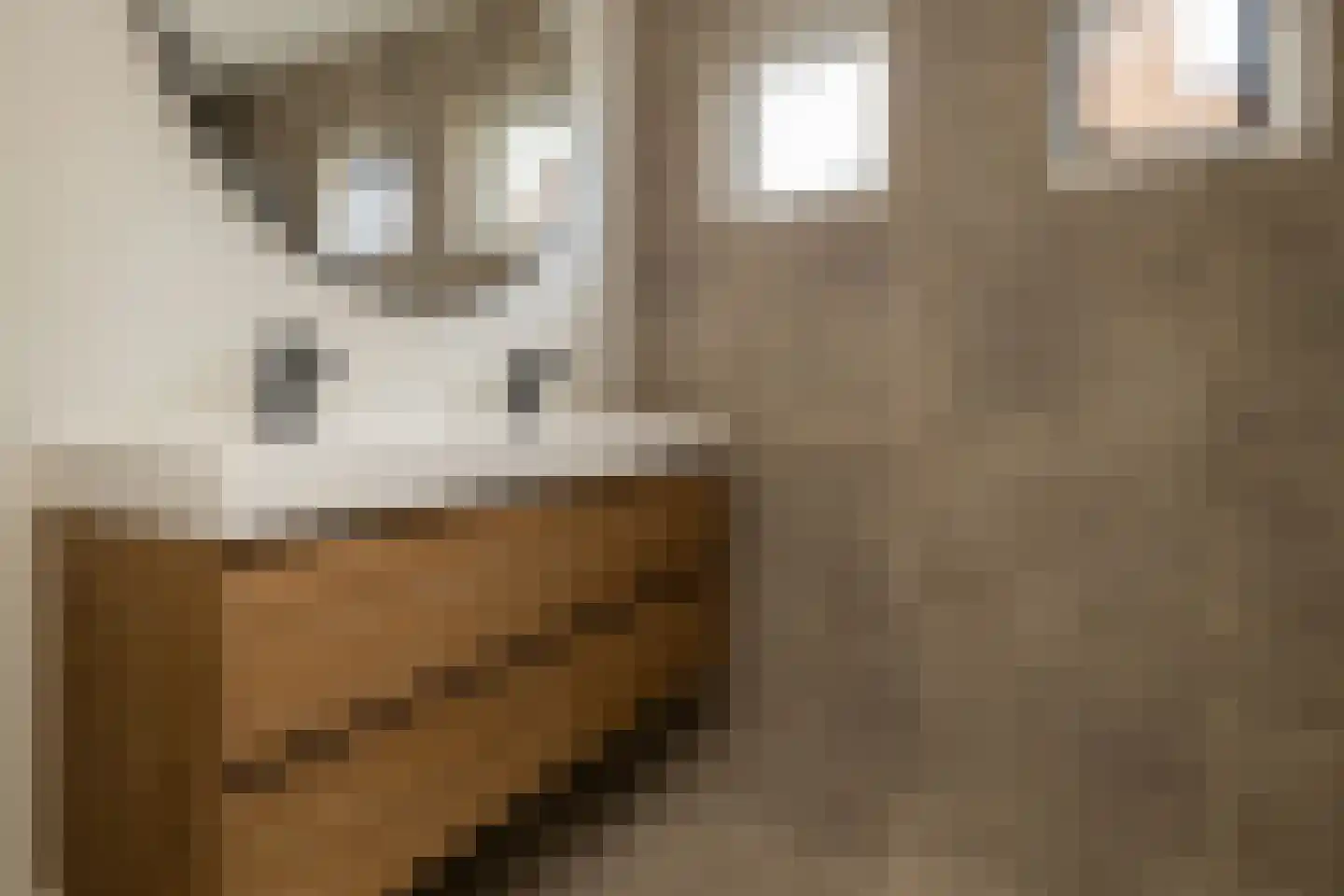 Kerkstraat 40 Kwintsheul thumbnail 26