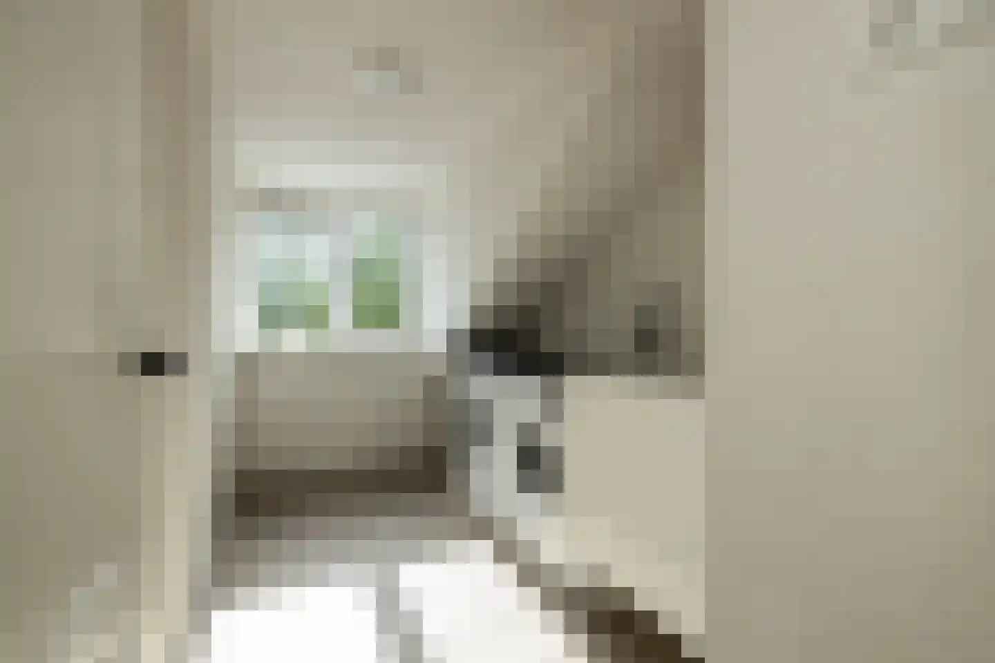 Kerkstraat 40 Kwintsheul thumbnail 37