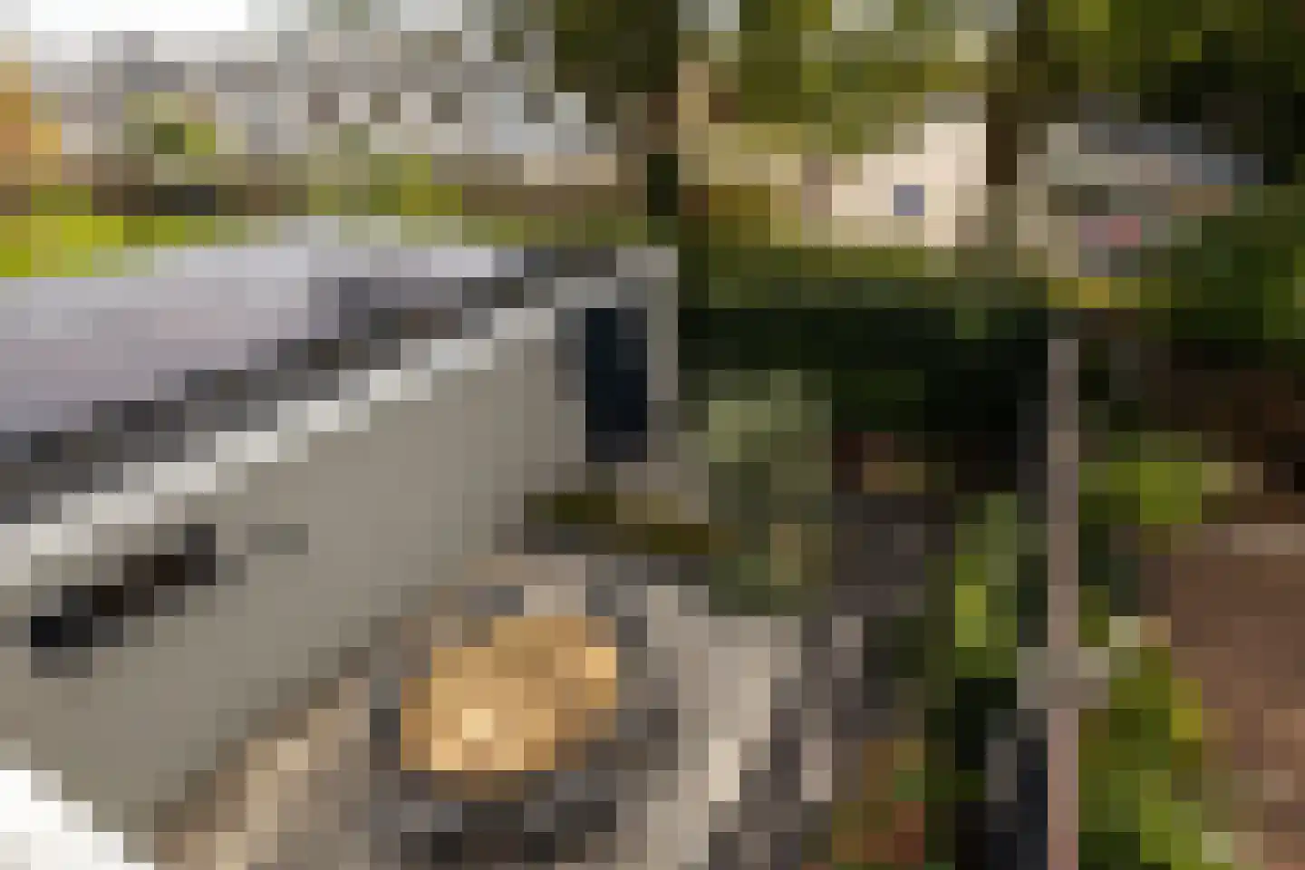Kerkstraat 40 Kwintsheul thumbnail 40