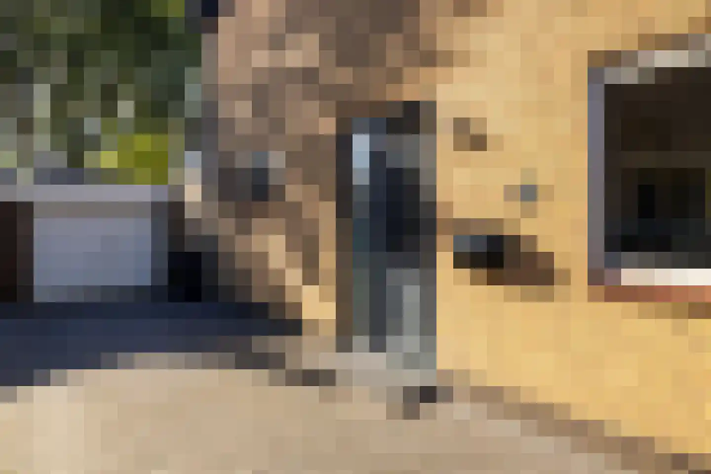 Kerkstraat 40 Kwintsheul thumbnail 6