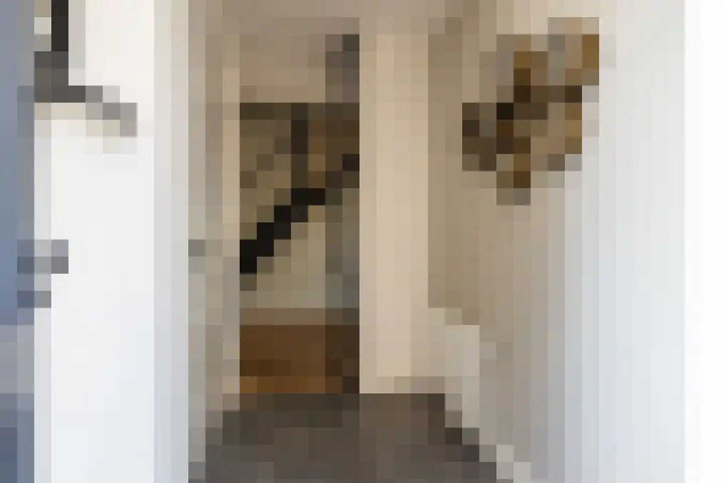 Kerkstraat 40 Kwintsheul thumbnail 7