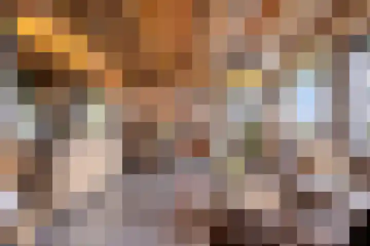 Kerkstraat 40 Lage Zwaluwe thumbnail 12
