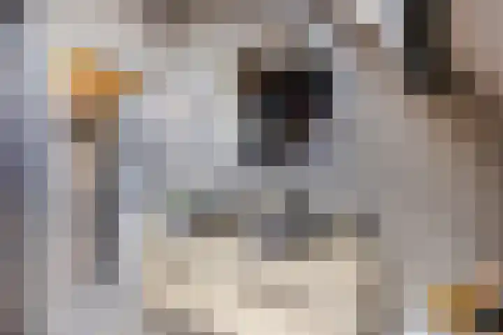 Kerkstraat 40 Lage Zwaluwe thumbnail 37