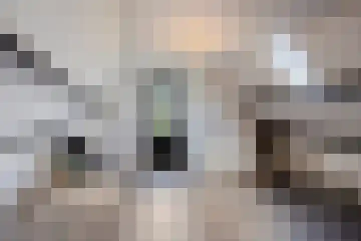 Kerkstraat 40 Lage Zwaluwe thumbnail 38