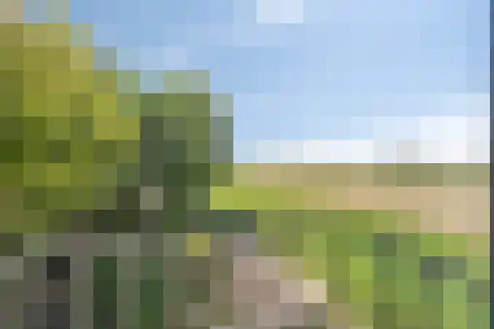 Kerkstraat 40 Lage Zwaluwe thumbnail 40