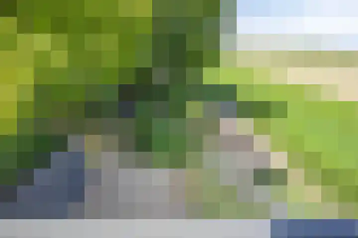Kerkstraat 40 Lage Zwaluwe thumbnail 42