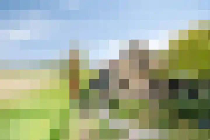 Kerkstraat 40 Lage Zwaluwe thumbnail 44