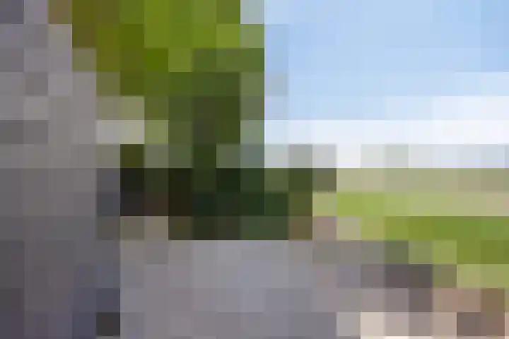 Kerkstraat 40 Lage Zwaluwe thumbnail 45