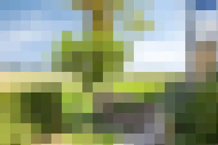 Kerkstraat 40 Lage Zwaluwe thumbnail 52