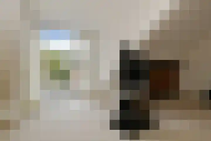 Kerkstraat 40 Nederweert thumbnail 36