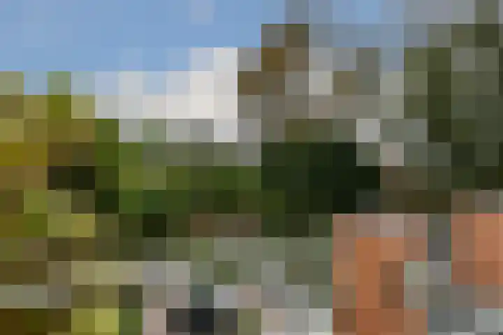Kerkstraat 40 Nederweert thumbnail 38