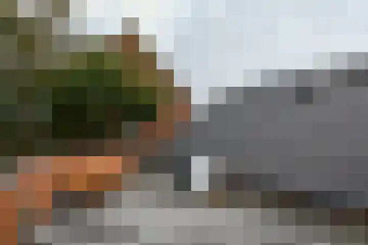 Kerkstraat 40 Nederweert thumbnail 39