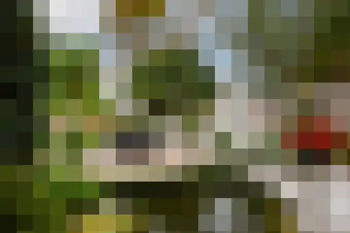 Kerkstraat 40 Nederweert thumbnail 41