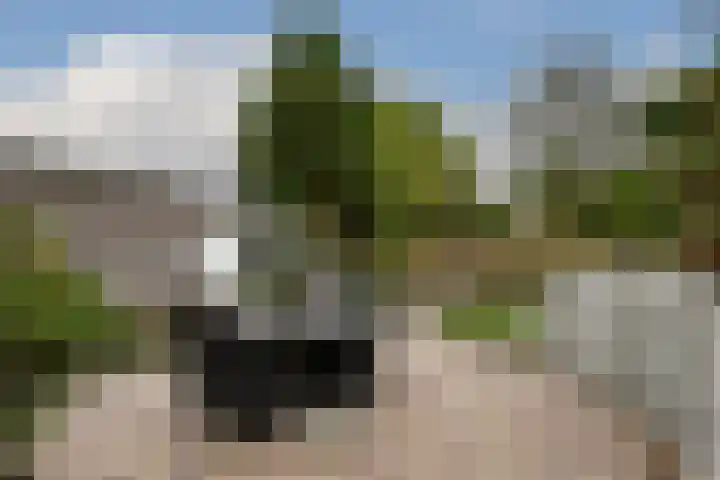 Kerkstraat 40 Nederweert thumbnail 43