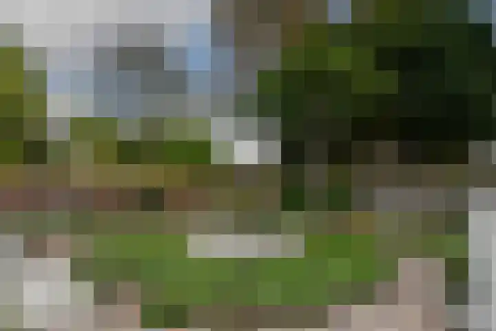 Kerkstraat 40 Nederweert thumbnail 44