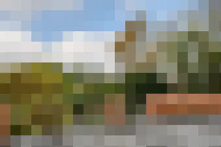 Kerkstraat 40 Nederweert thumbnail 6