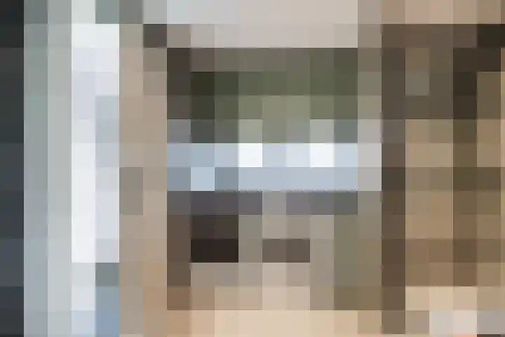 Kerkstraat 40 Ossendrecht thumbnail 22