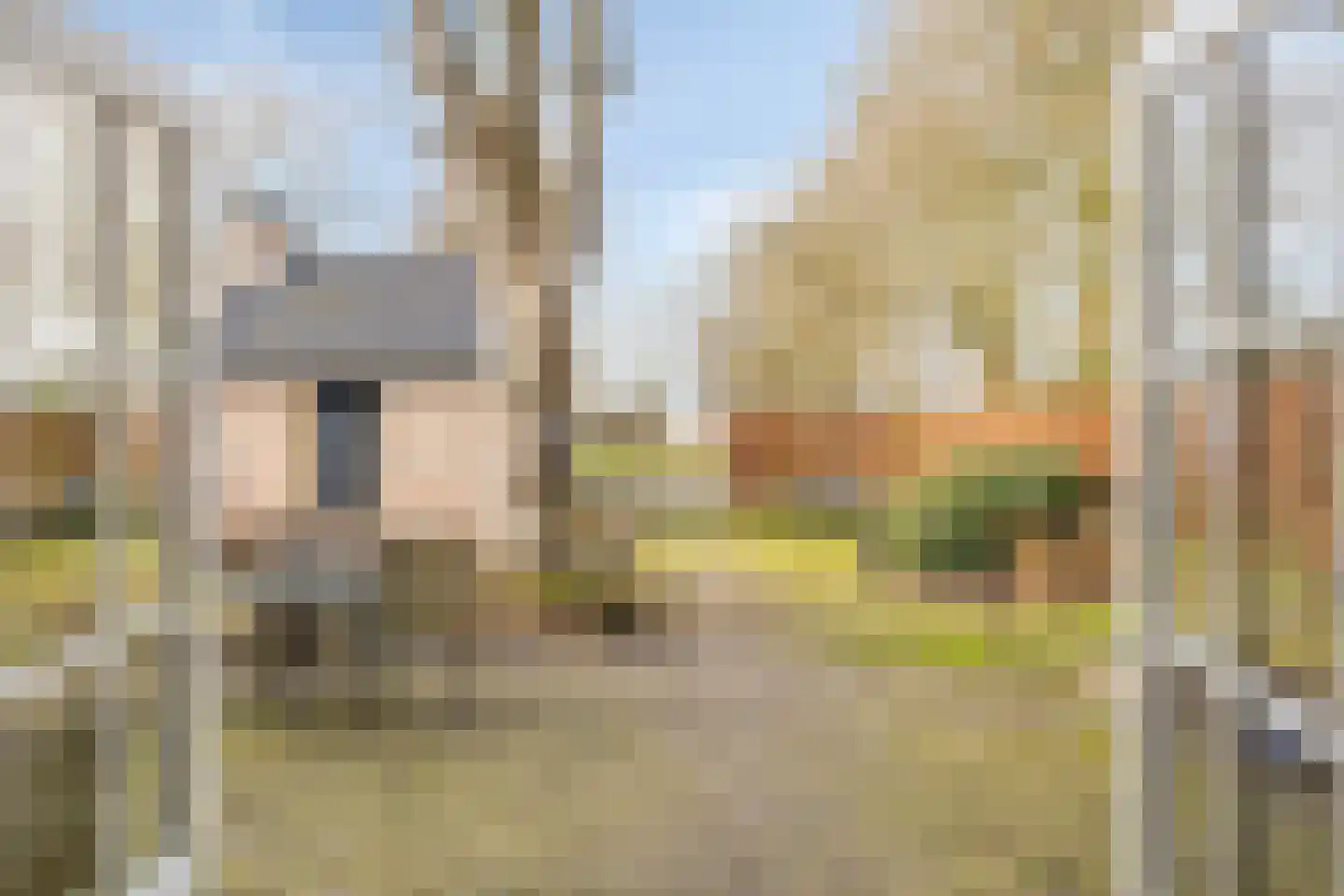 Kerkstraat 40 Veessen thumbnail 11