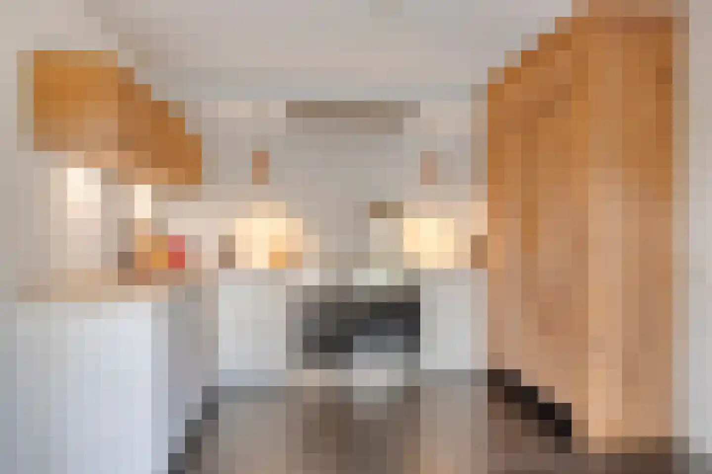 Kerkstraat 40 Veessen thumbnail 19