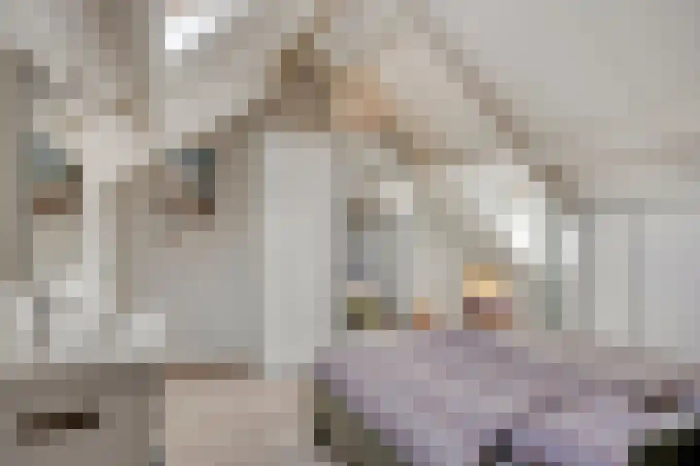Kerkstraat 40 Veessen thumbnail 36