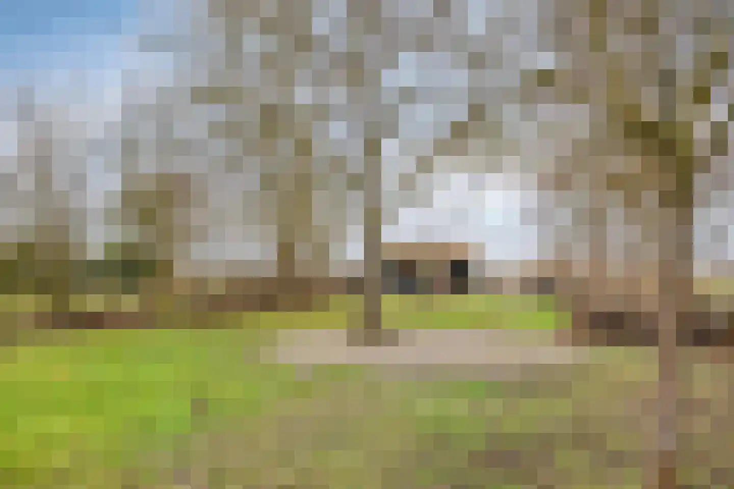 Kerkstraat 40 Veessen thumbnail 4
