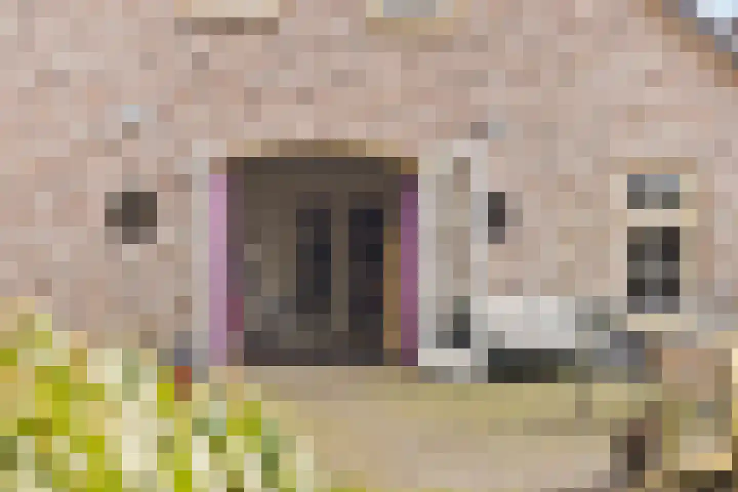 Kerkstraat 40 Veessen thumbnail 45