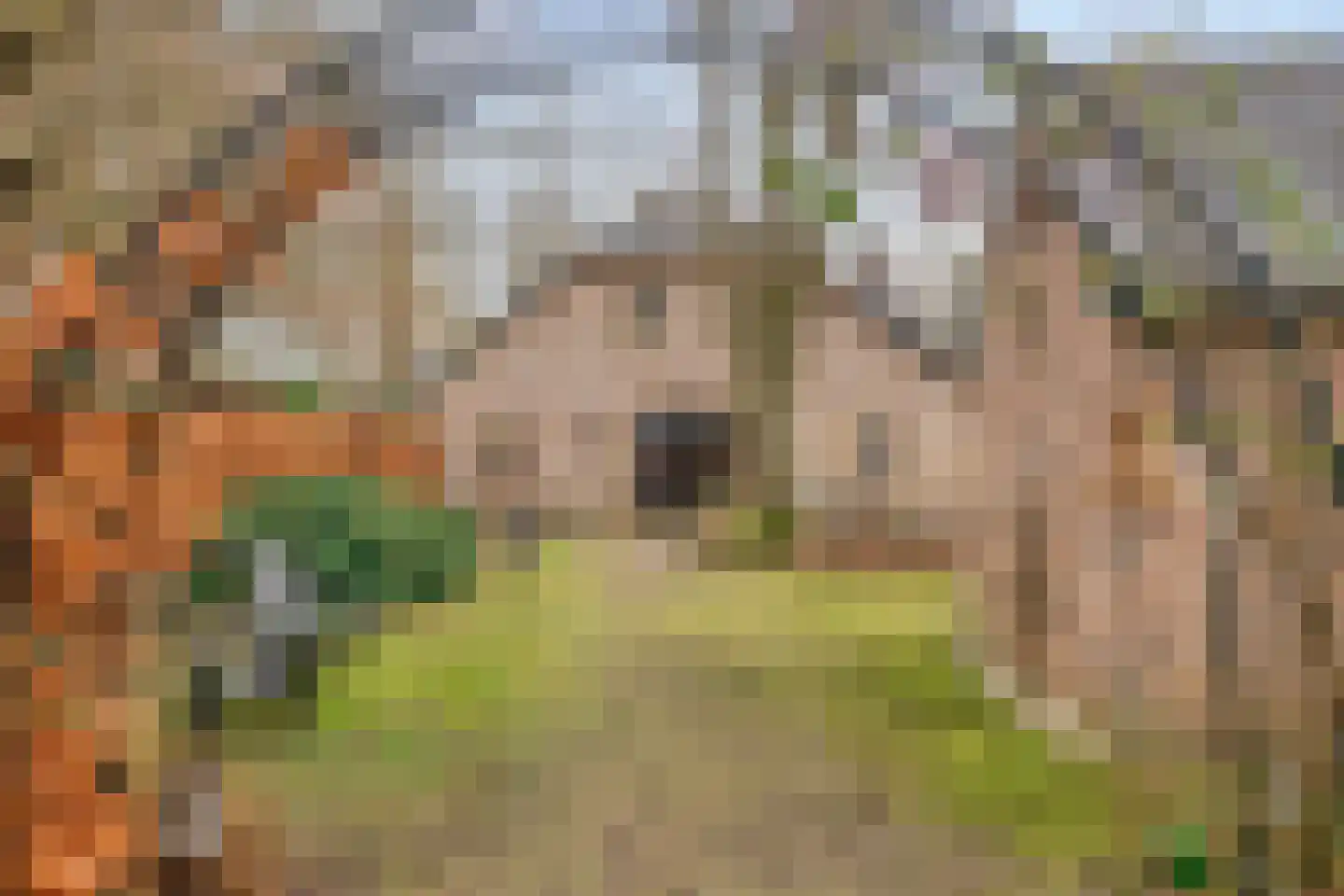 Kerkstraat 40 Veessen thumbnail 46
