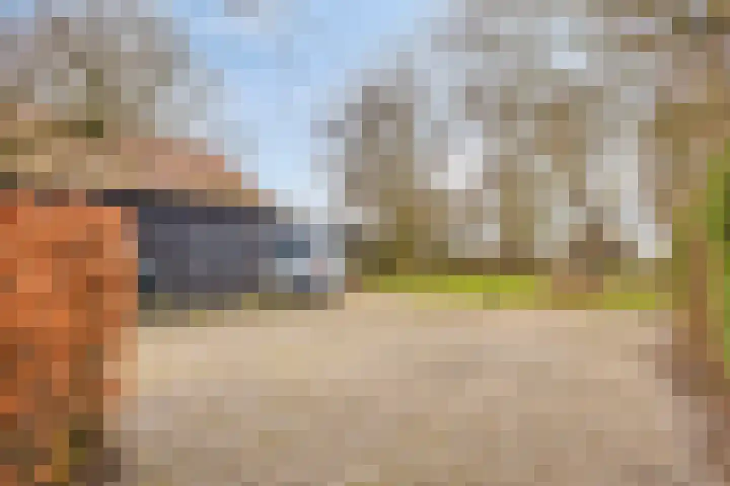 Kerkstraat 40 Veessen thumbnail 52