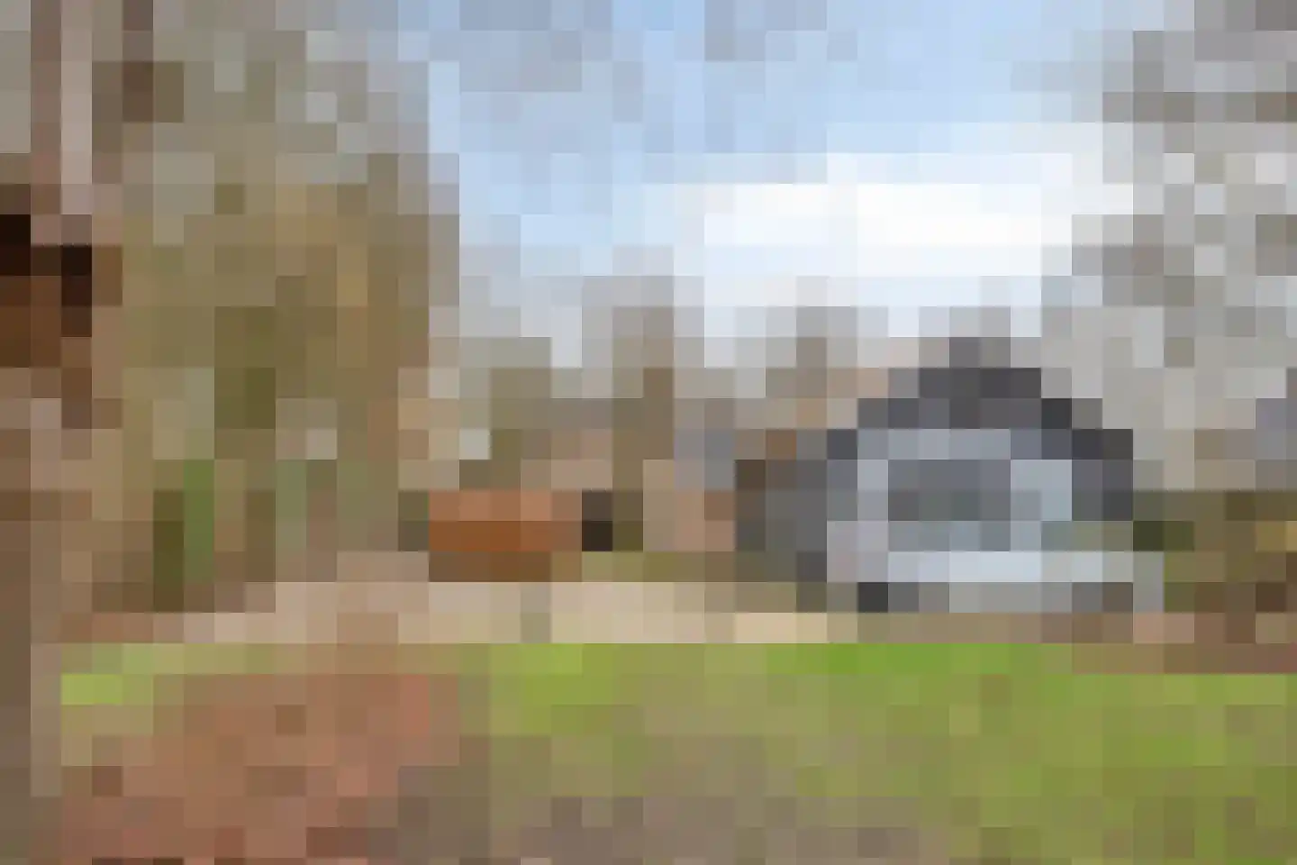 Kerkstraat 40 Veessen thumbnail 53